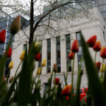 Bank of Canada to hold interest rates this year, show patience with energy inflation: Reuters poll