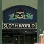 FWC investigation finds dozens of sloths died before Orlando attraction opening