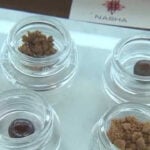 Beyond the cellphone: From cannabis use to ADHD, South Florida doctor talks causes of distracted driving