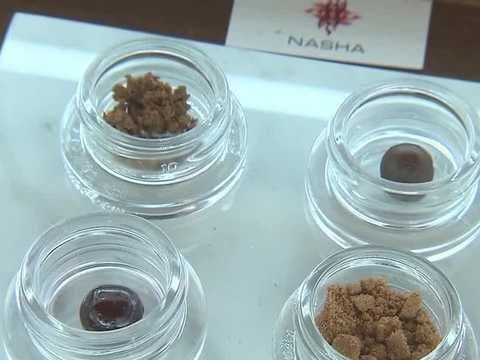 Beyond the cellphone: From cannabis use to ADHD, South Florida doctor talks causes of distracted driving