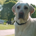 AI smart glasses will help visually impaired runners take on the London Marathon