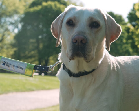AI smart glasses will help visually impaired runners take on the London Marathon