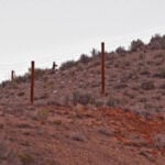 Colorado's wildlife crossings can reduce animal-vehicle crashes by 90% — would you pay $5 to build more?