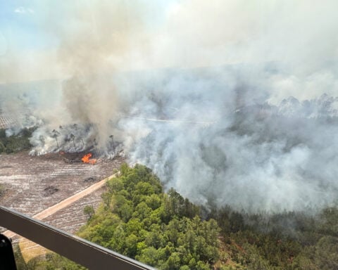 Growing wildfires blamed for death of Florida firefighter and destruction of 120 Georgia homes
