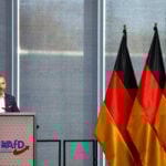 Germany's far-right AfD rises to record 28%, INSA poll shows