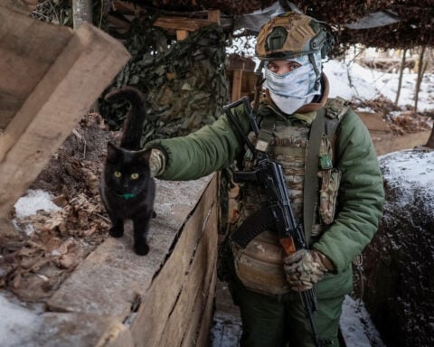 Meet the cat and dog rescued by a drone from the Ukrainian front line