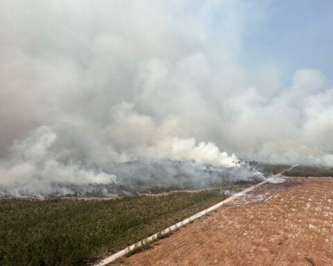 Georgia wildfires that destroyed more than 120 homes continue to threaten residents