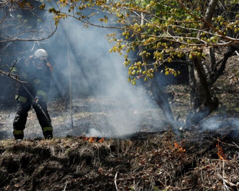 Japan deploys hundreds of firefighters as wildfires rage in north