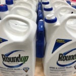 What does Bayer's US Supreme Court case mean for the thousands of Roundup lawsuits?
