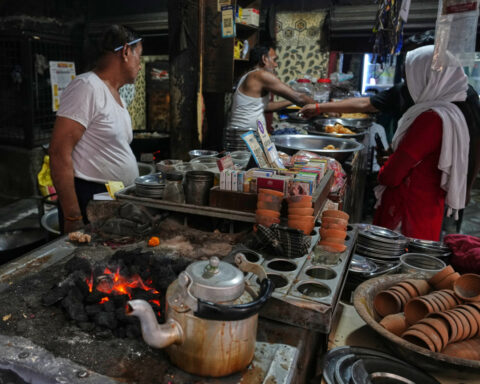 Energy shock ripples through kitchens, forests and conservation in Africa and South Asia