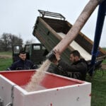 Iran war fertiliser squeeze could spell trouble for next year's grain harvests