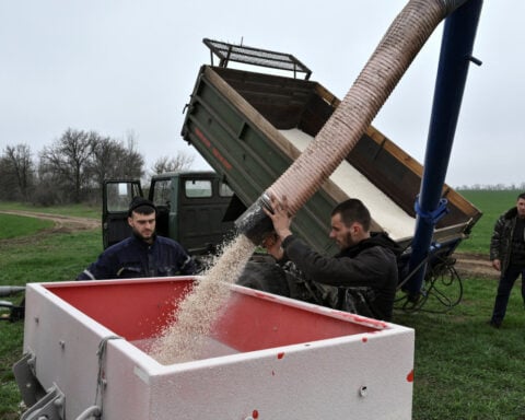 Iran war fertiliser squeeze could spell trouble for next year's grain harvests