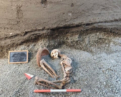 Archaeologists at Pompeii use AI to reconstruct the face of one of the victims of volcano's eruption