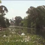 Anglers reel in invasive species at 2026 Southwest Florida Invasive Freshwater Fish Roundup
