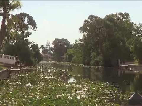 Anglers reel in invasive species at 2026 Southwest Florida Invasive Freshwater Fish Roundup