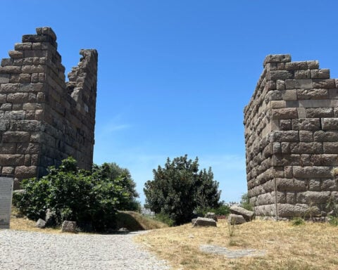 She married her brother, then he died. The monument to her grief was a Wonder of the Ancient World