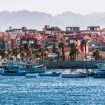 Tourist dies after being bitten at snake show while on vacation in Egypt