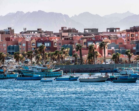 Tourist dies after being bitten at snake show while on vacation in Egypt