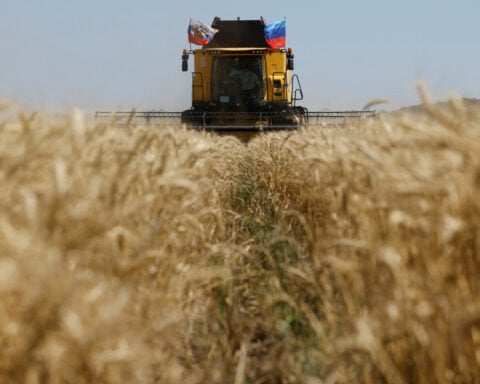 Ukraine says Israeli buying of 'stolen' grain from Russia not 'legitimate'