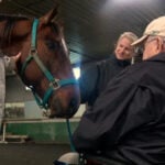Nonprofit brings aging horses into mutually-therapeutic contact with seniors