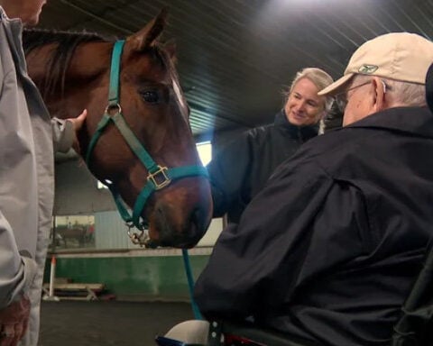 Nonprofit brings aging horses into mutually-therapeutic contact with seniors