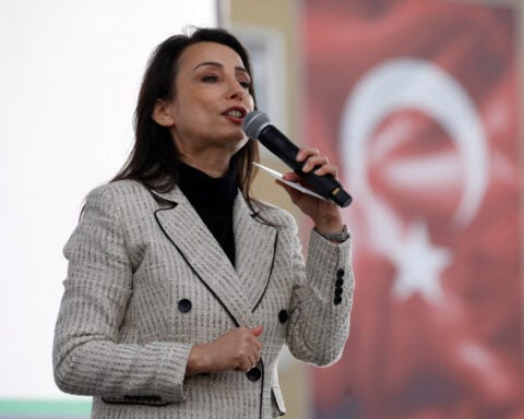 Pro-Kurdish party criticises Turkey's 'hesitant' steps toward PKK peace