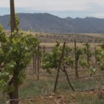Sonoita vying to become next Napa