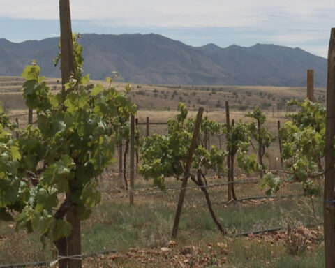 Sonoita vying to become next Napa