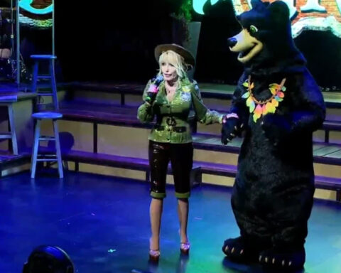 Dollywood to educate visitors about black bears with new BearWise signs