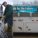 DNR begins stocking 20 million fish across more than 1,000 Michigan lakes and streams