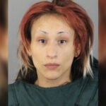 Woman accused of fatally stabbing boyfriend after argument over dinner