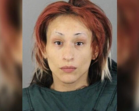 Woman accused of fatally stabbing boyfriend after argument over dinner