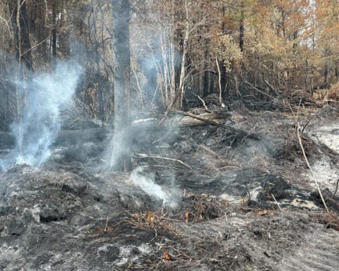 Georgia officials warn wildfires are still a threat as firefighters report progress