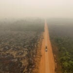 Tropical forest loss eases in 2025 from record high, report shows
