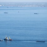 A barge carrying Timmy the humpback whale begins journey to the North Sea