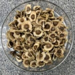 This ‘miracle tree’ can filter more than 98% of microplastics from tap water