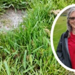 Advocates demand answers as hundreds of graves collapse at a Milwaukee County cemetery after floods
