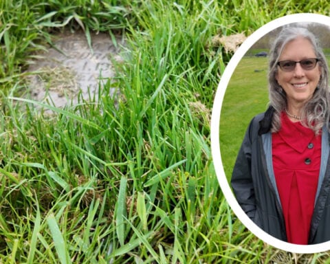 Advocates demand answers as hundreds of graves collapse at a Milwaukee County cemetery after floods