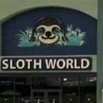 'Long road ahead': 13 sloths rescued from Sloth World continue recovery at Central Florida Zoo