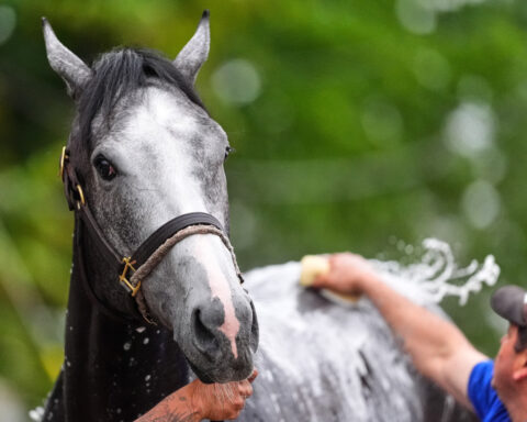 Silent Tactic is out of the Kentucky Derby because of a foot injury, trainer says