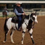 The first Kentucky Derby since the death of trainer D. Wayne Lukas has a different vibe