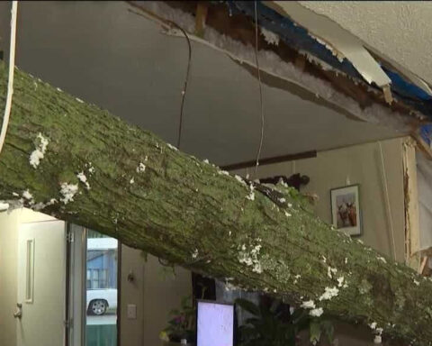 Tree slices through Arkansas woman's home during storm