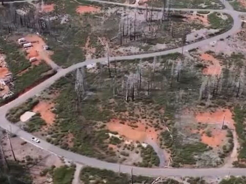 5 years after Caldor Fire, hundreds of dead and unstable trees in Grizzly Flats remain a threat