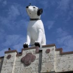 Nipper, stay! The future of a beloved dog statue on a New York warehouse is up in the air