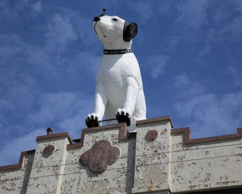 Nipper, stay! The future of a beloved dog statue on a New York warehouse is up in the air