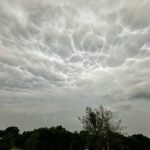 You're probably paying more for insurance lately. A new study suggests federal action to cut costs