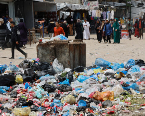 Rats infest Gaza's tent camps, biting children and spreading disease