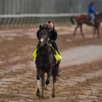 Fulleffort scratched from the Kentucky Derby, putting Ocelli into the race
