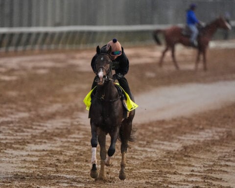 Fulleffort scratched from the Kentucky Derby, putting Ocelli into the race