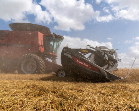 Chicago grain futures fall on oil retreat, improved US weather outlook